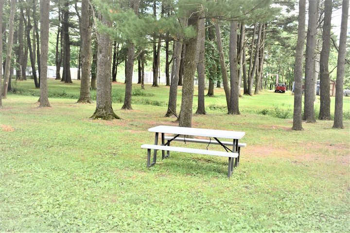 Property Grounds 18 of 18