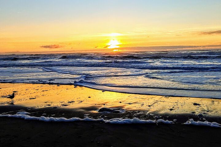 Beach 49 of 56