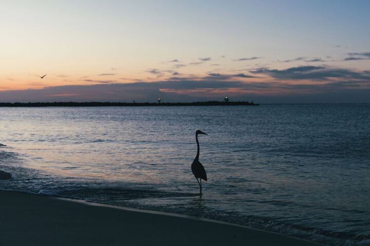 Perdido Beach Resort