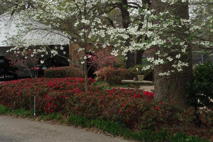 Dogwood Springs Lodgings