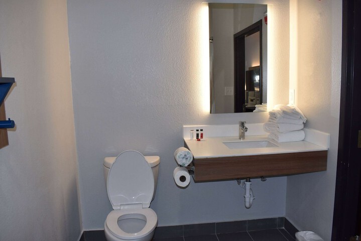 Microtel Inn & Suites by Wyndham Stockbridge / Atlanta I-75