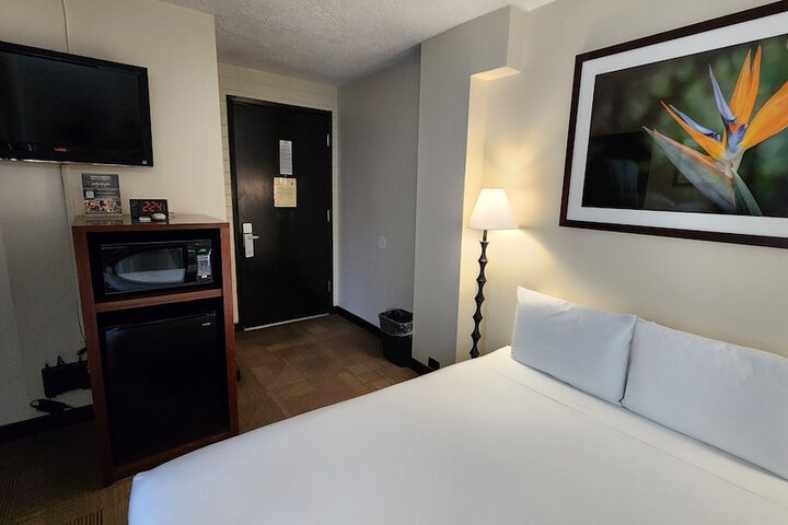 Room 19 of 53
