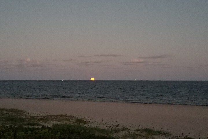 Beach 67 of 85