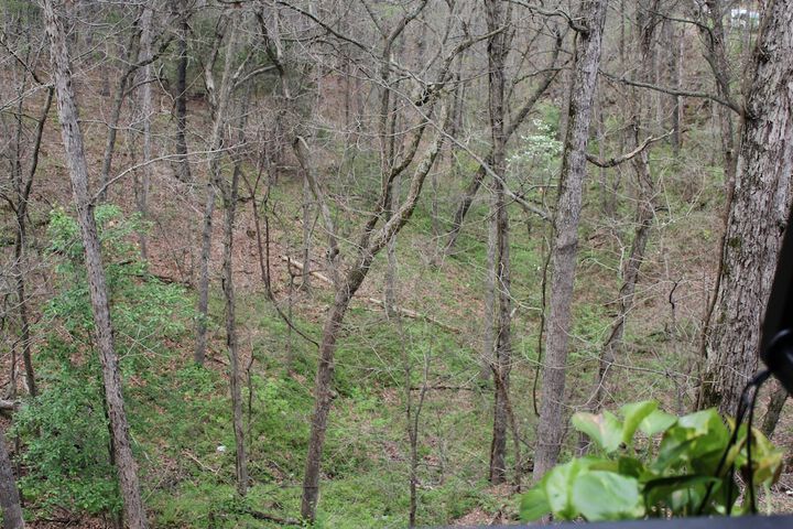 Hotel View 203 of 219
