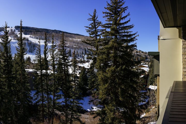 Vails Mountain Haus