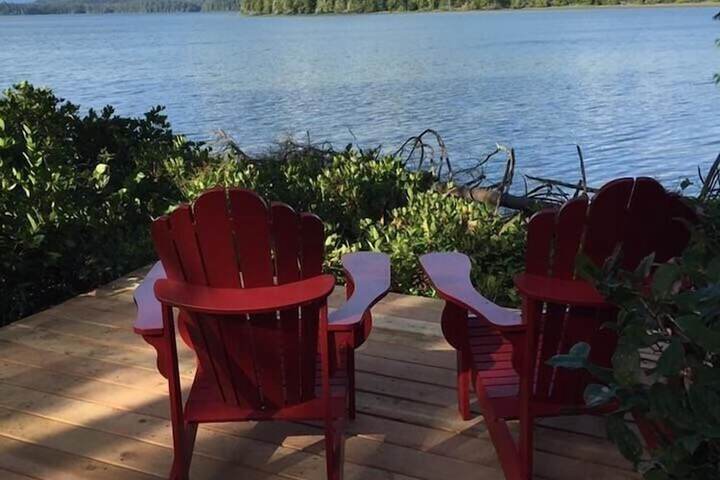 Black Bear Guesthouse
