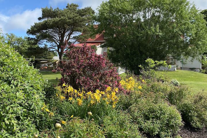Cavendish Lodge & Cottages