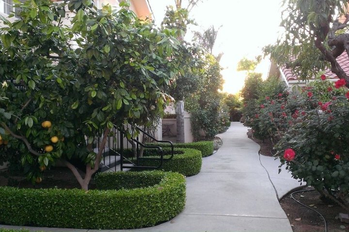 Terrace/Patio 32 of 37