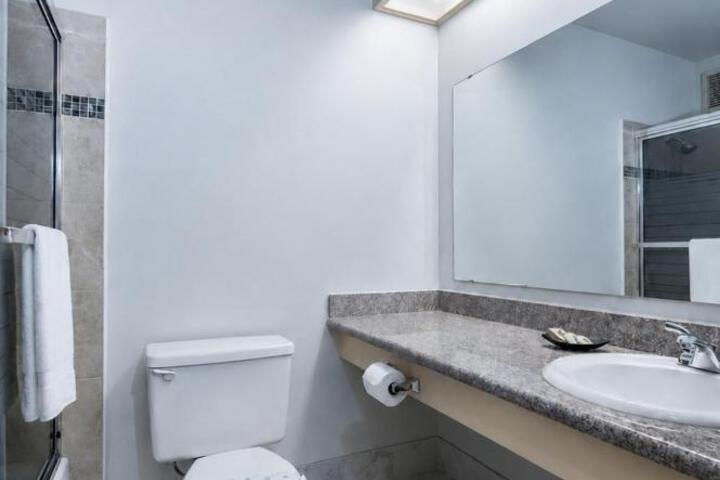 Hotel International