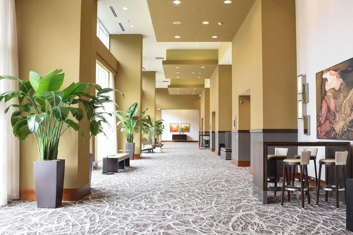 Raleigh Marriott City Center