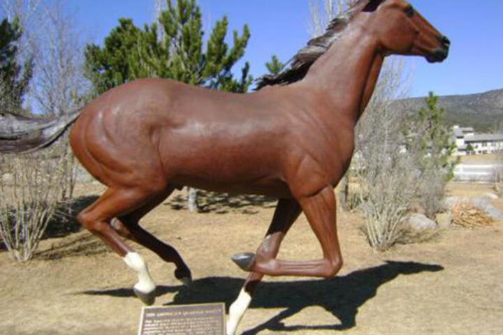 Ruidoso Downs Condos by VRI resorts