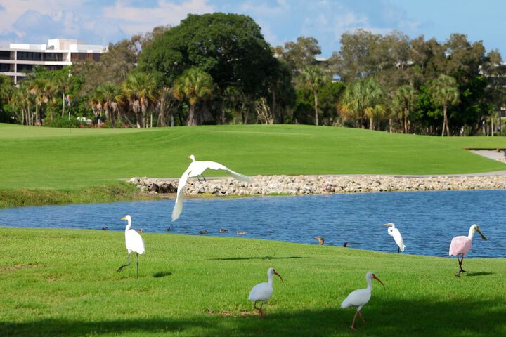 The Resort at Longboat Key Club