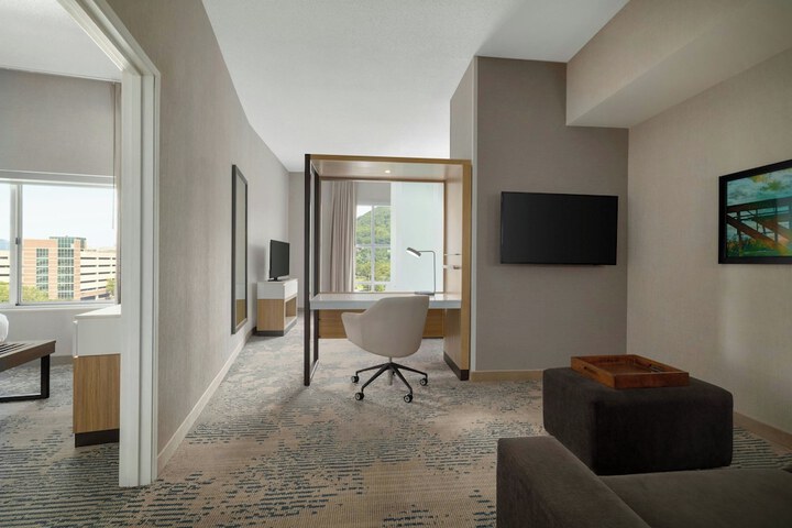 SpringHill Suites by Marriott Roanoke