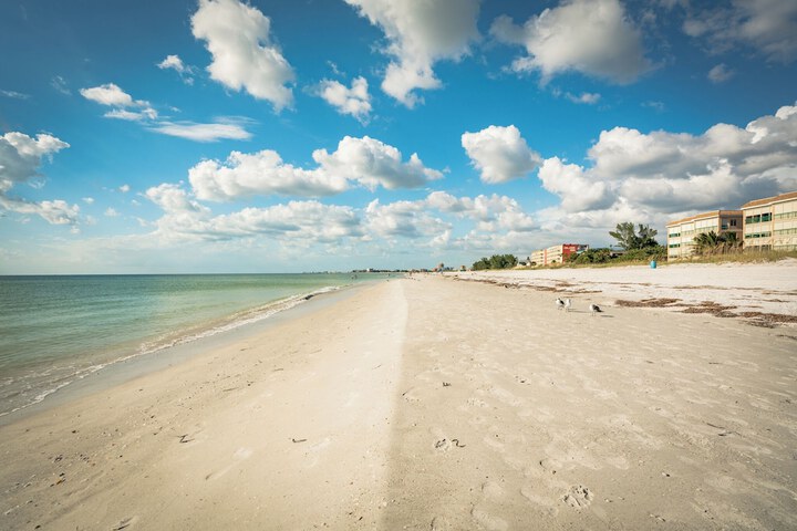 Seashell 19 by Distinctive Beach Rentals