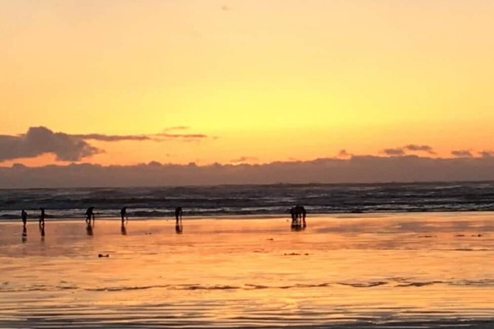 The Lowtide Motel