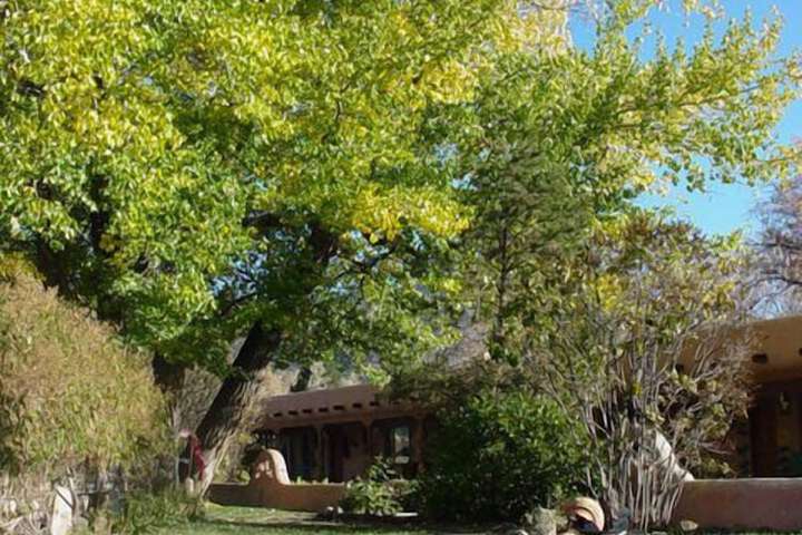 Property Grounds 29 of 29