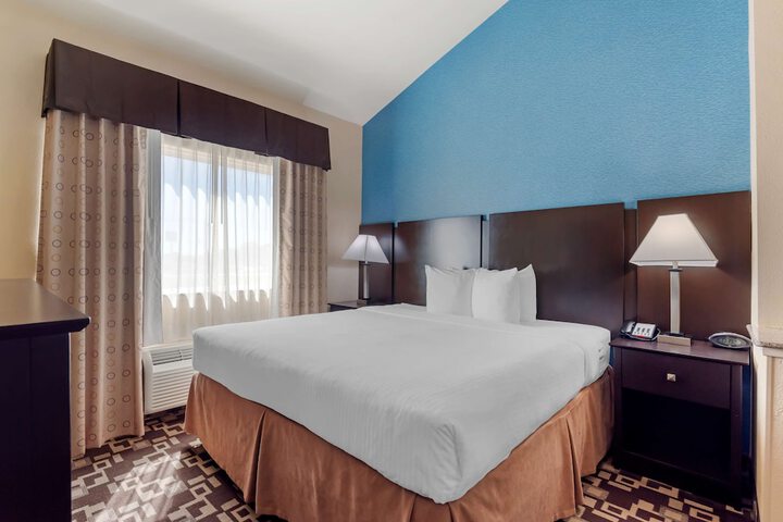 Best Western Plus Arlington North Hotel & Suites