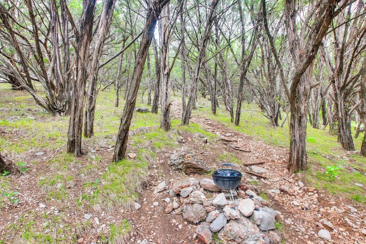 Cedar Falls Cabins #6: Hillside w / Views!