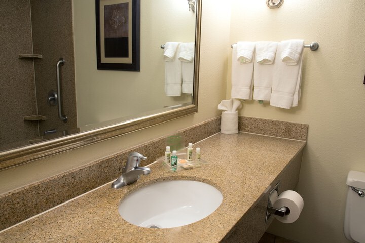 Holiday Inn Hotel & Suites Charleston West by IHG