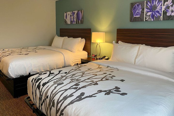 Room 9 of 12