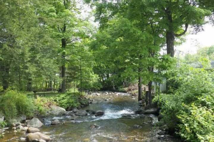 Property Grounds 33 of 52