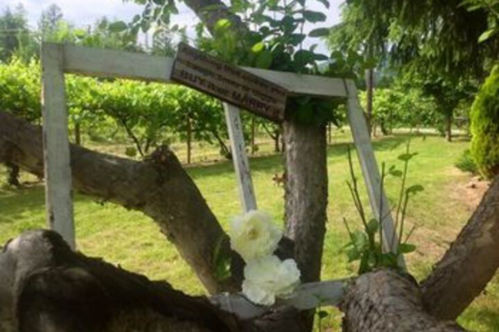 Columbia Gardens Winery and Grape Escape Guesthouse