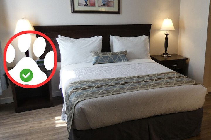 Room 20 of 40