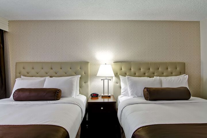 Room 19 of 54