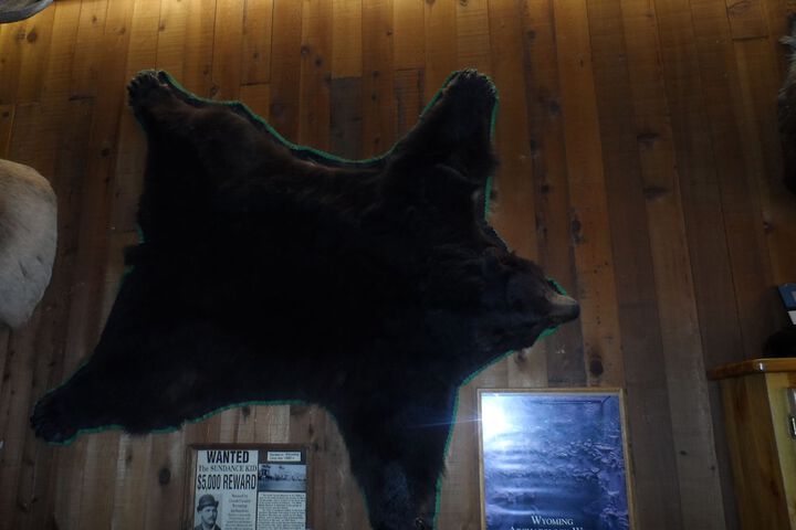 Bear Lodge Motel