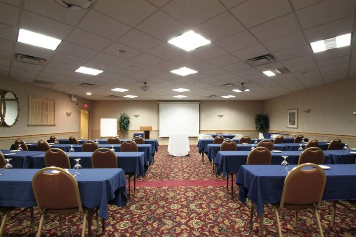 Meeting 96 of 113