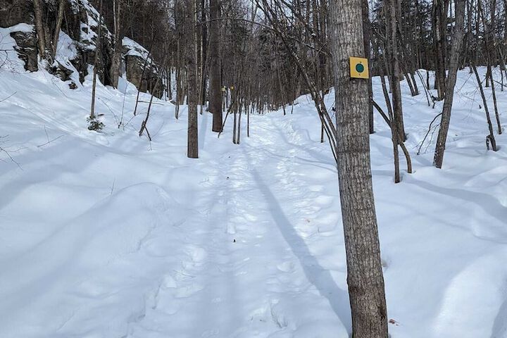 Le 2800 du Parc
