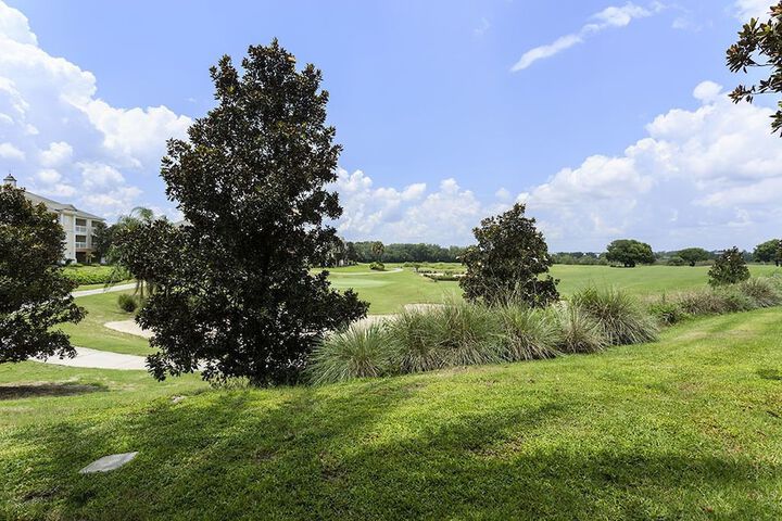 Property Grounds 19 of 19