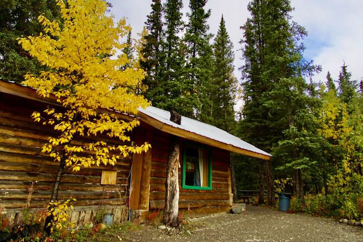 Carlo Creek Cabins