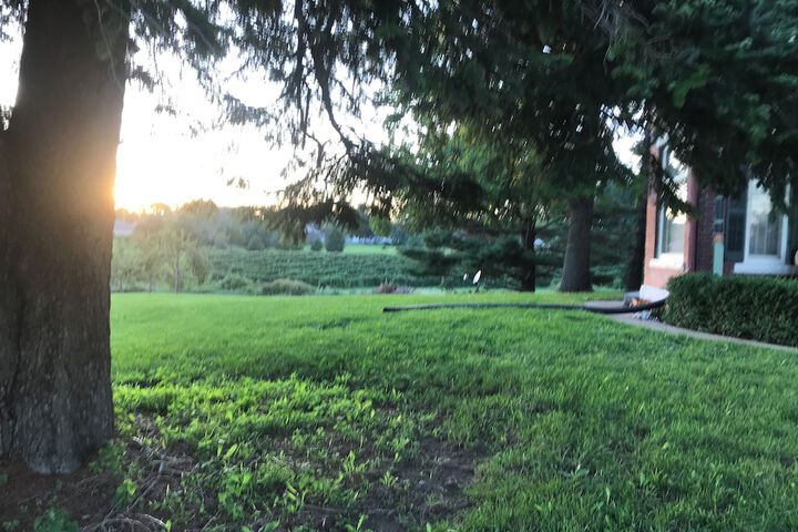 Property Grounds 83 of 83