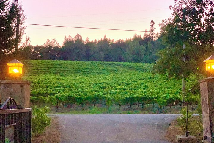 Zegarra Estate