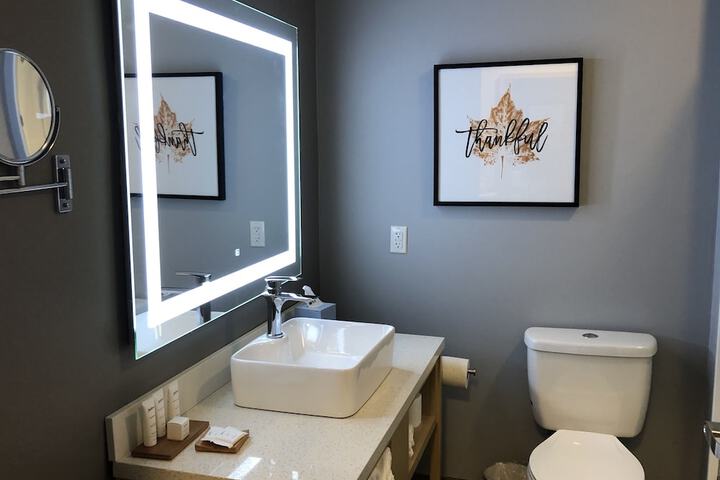 Radisson Hotel Atlanta Airport