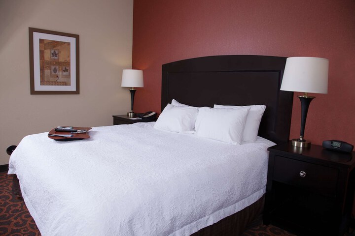 Hampton Inn & Suites Dickinson