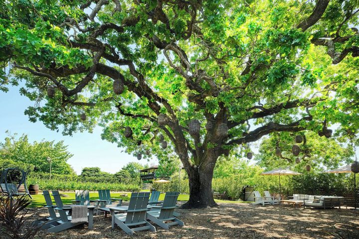 The Lodge at Sonoma Resort Autograph Collection