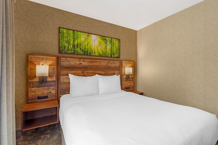 Best Western Plus Valemount Inn & Suites