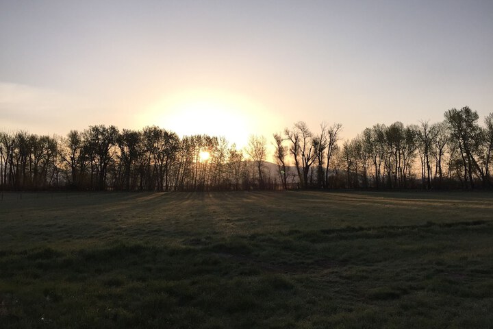 Gallatin River Lodge