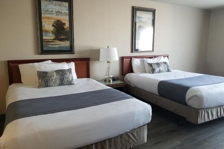 Room 14 of 24