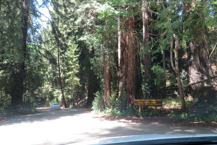 Property Grounds 42 of 43
