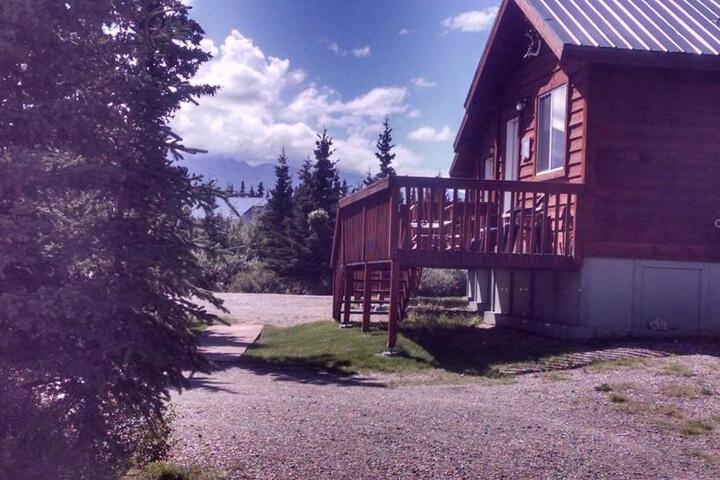 Denalis Alaskan Spruce Cabins