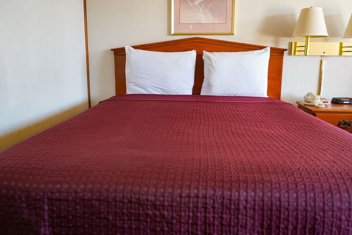 Room 42 of 54