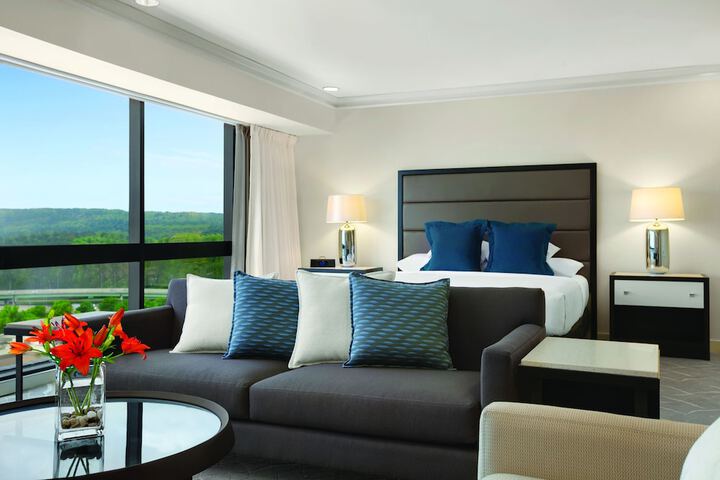 Hyatt Regency Birmingham-The Wynfrey Hotel