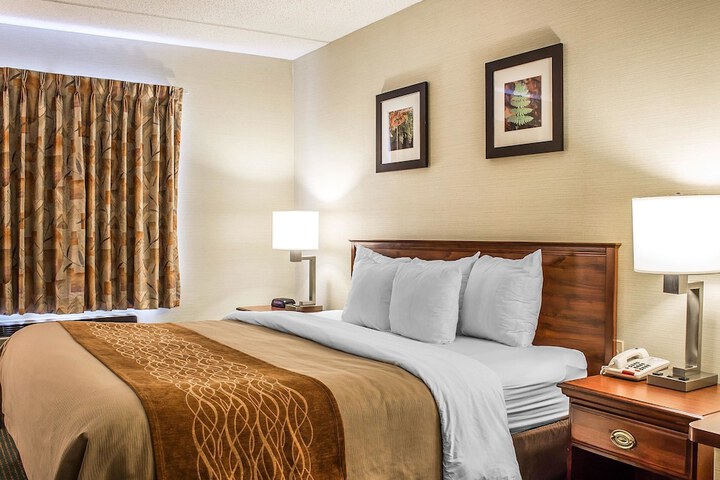 Room 40 of 51