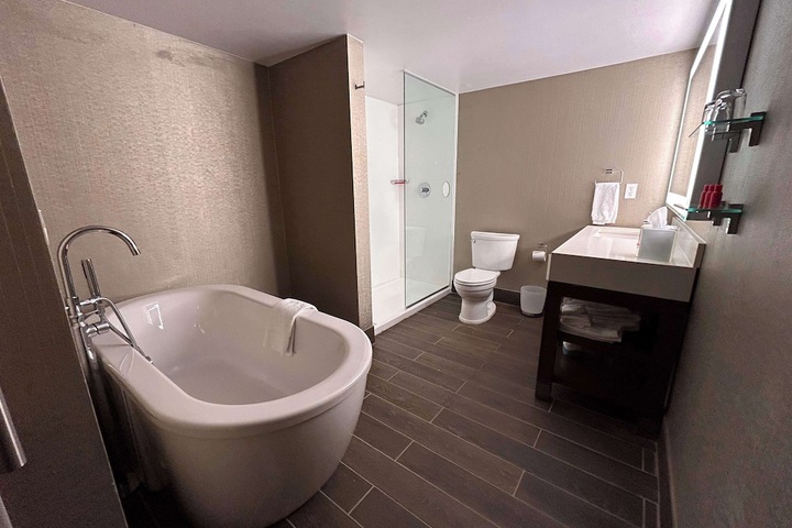 Skyline Hotel Detroit Airport SureStay Collection by BW