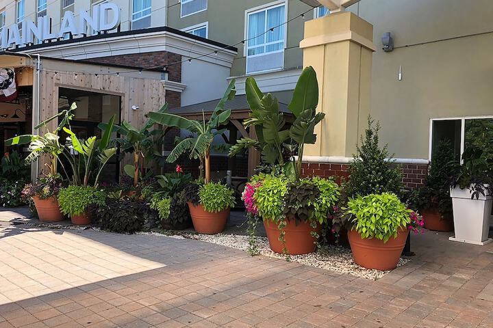 Hotel Exterior 90 of 93