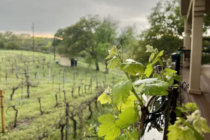 The Vineyard B & B at Lost Creek Ranch