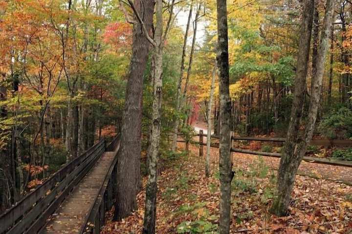 Nacoochee Valley Lodge